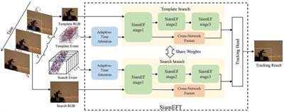 SiamEFT: adaptive-time feature extraction hybrid network for RGBE multi-domain object tracking